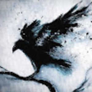 Meet your Posher, Tami